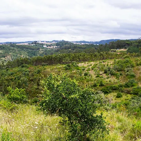Campsite Secluded Wooden Sintra