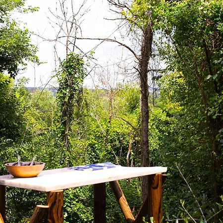 Secluded Wooden Campsite