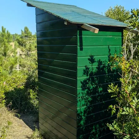 Campsite Secluded Wooden *