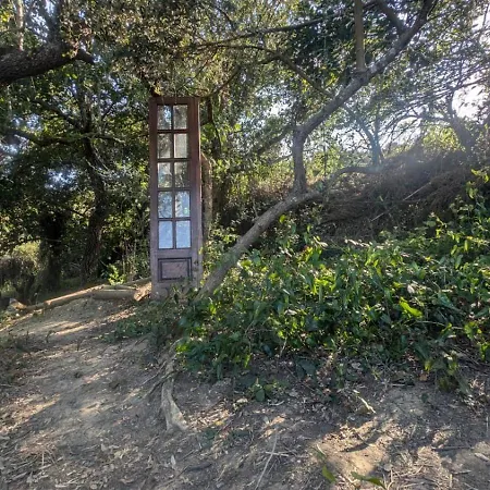 Secluded Wooden Campsite *